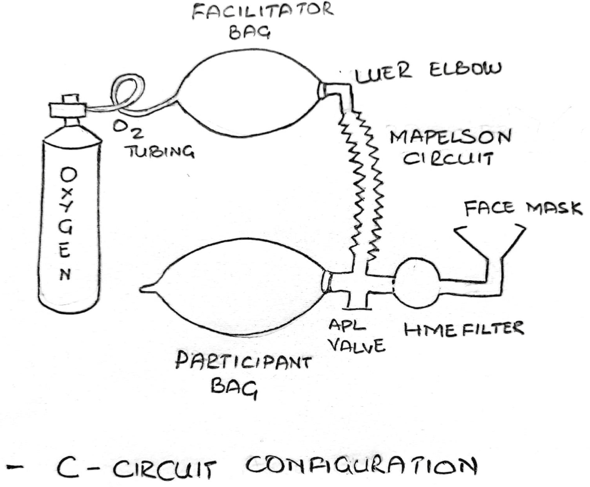 Schematic representation of the Mapelson circuit configuration